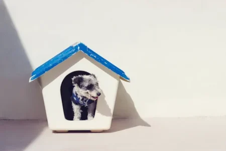 Melhor Casinha de Cachorro para Área Externa